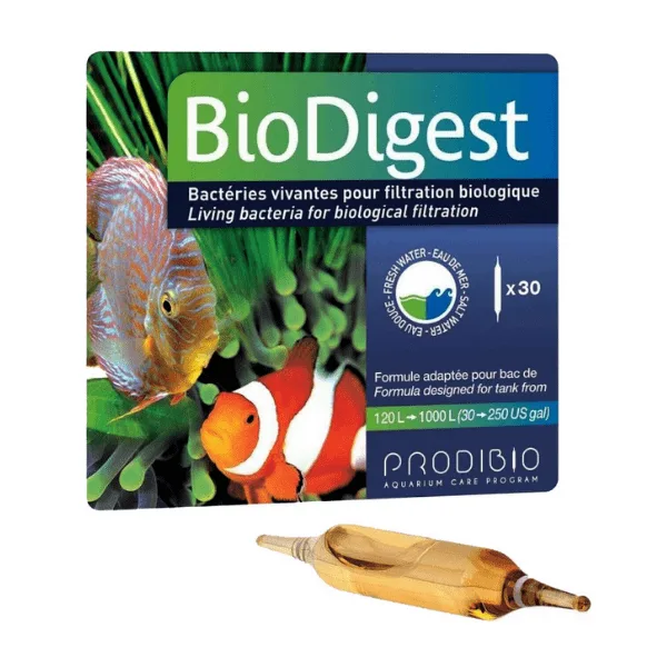 Ideacquario, foto 5