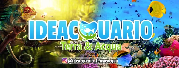 Ideacquario, foto 12