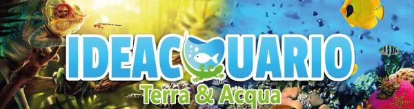 Ideacquario, foto 1