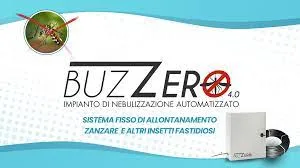 Buzzero, foto 2